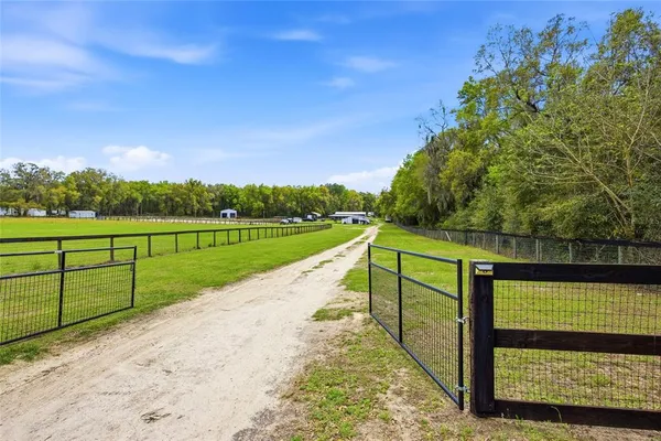 a view of a field with trees in the background
