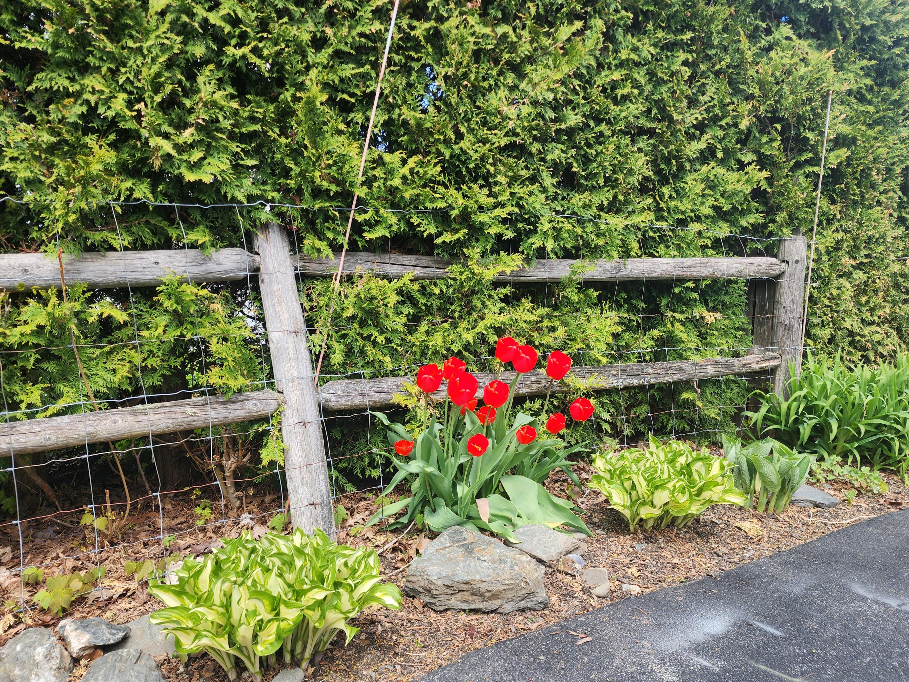 79 Sunset Strip Brewer, ME 04412 - Photo 8 of 45 7