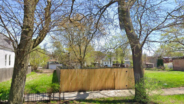 a view of backyard with large tree