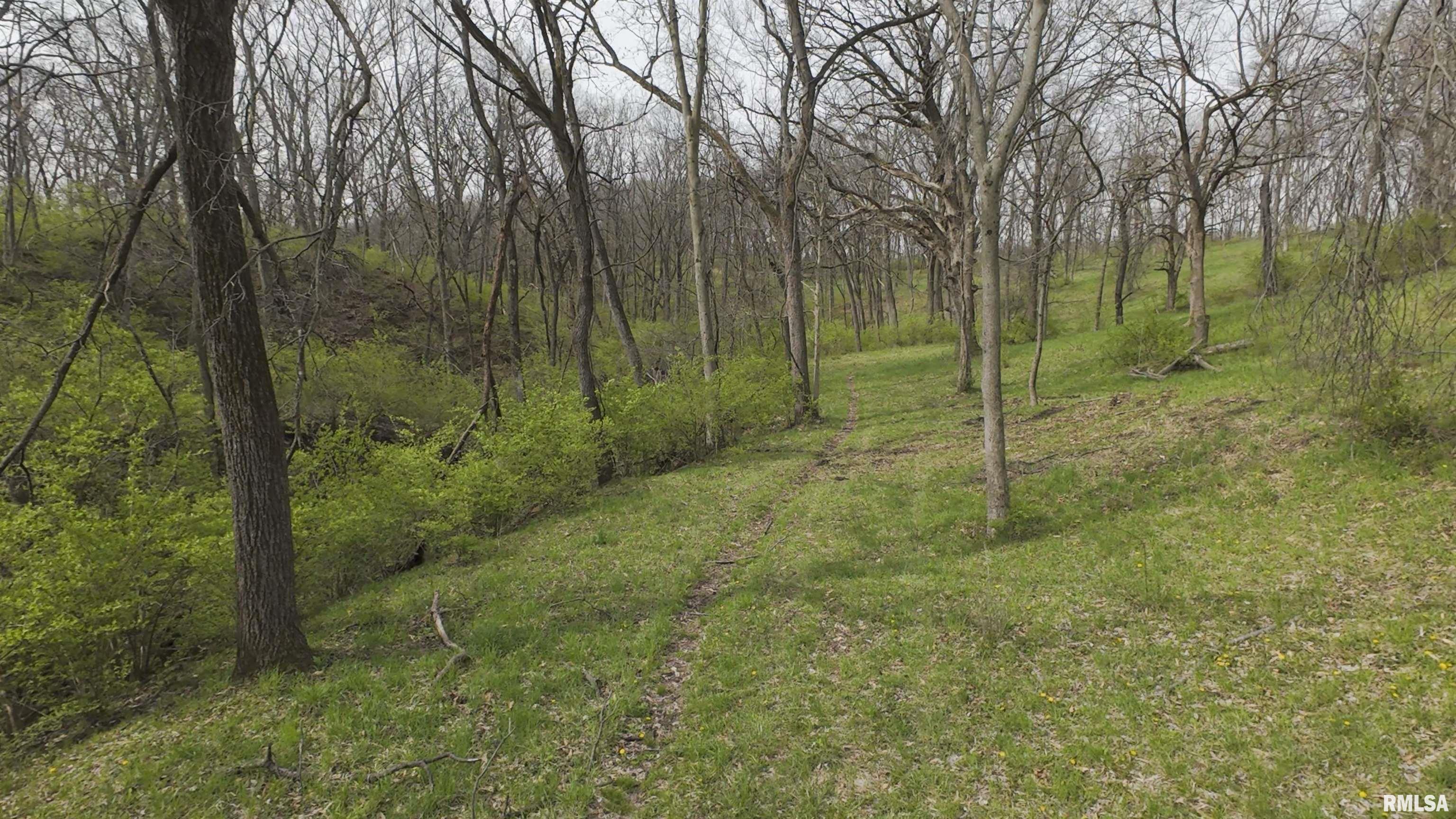 1 North Hardscrabble Road Chillicothe, IL 61523 - Photo 12 of 28