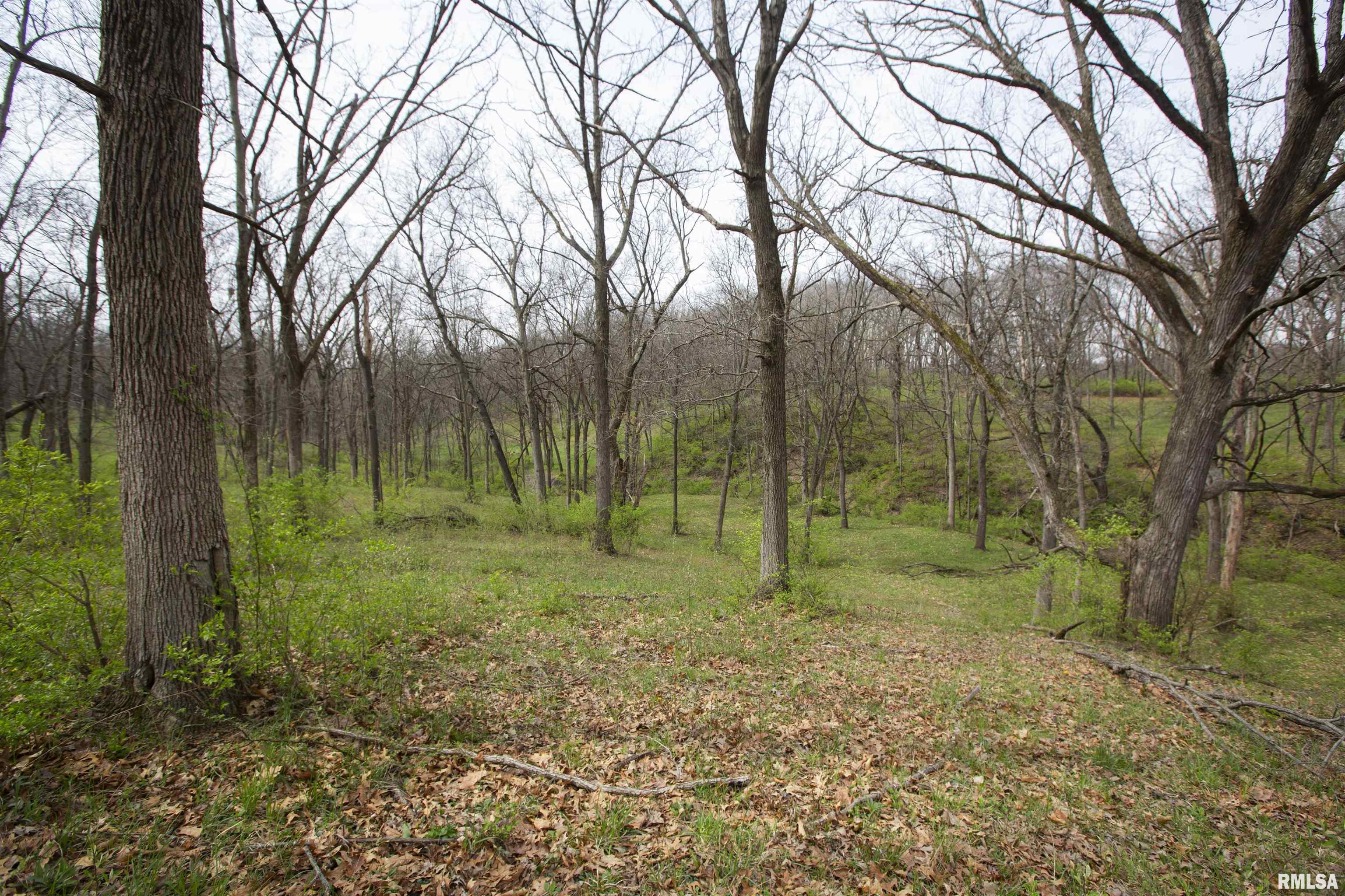 1 North Hardscrabble Road Chillicothe, IL 61523 - Photo 22 of 28