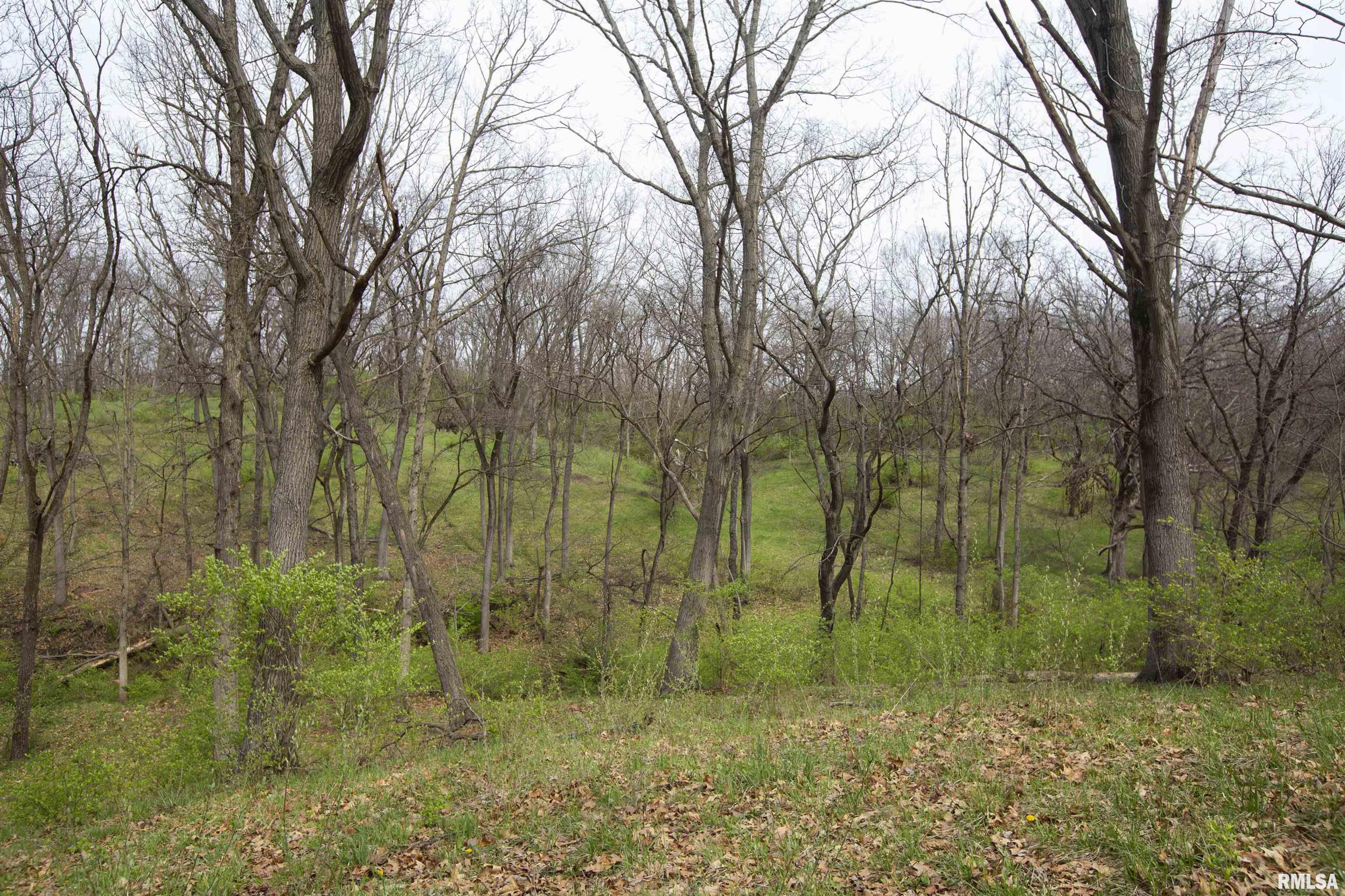 1 North Hardscrabble Road Chillicothe, IL 61523 - Photo 23 of 28
