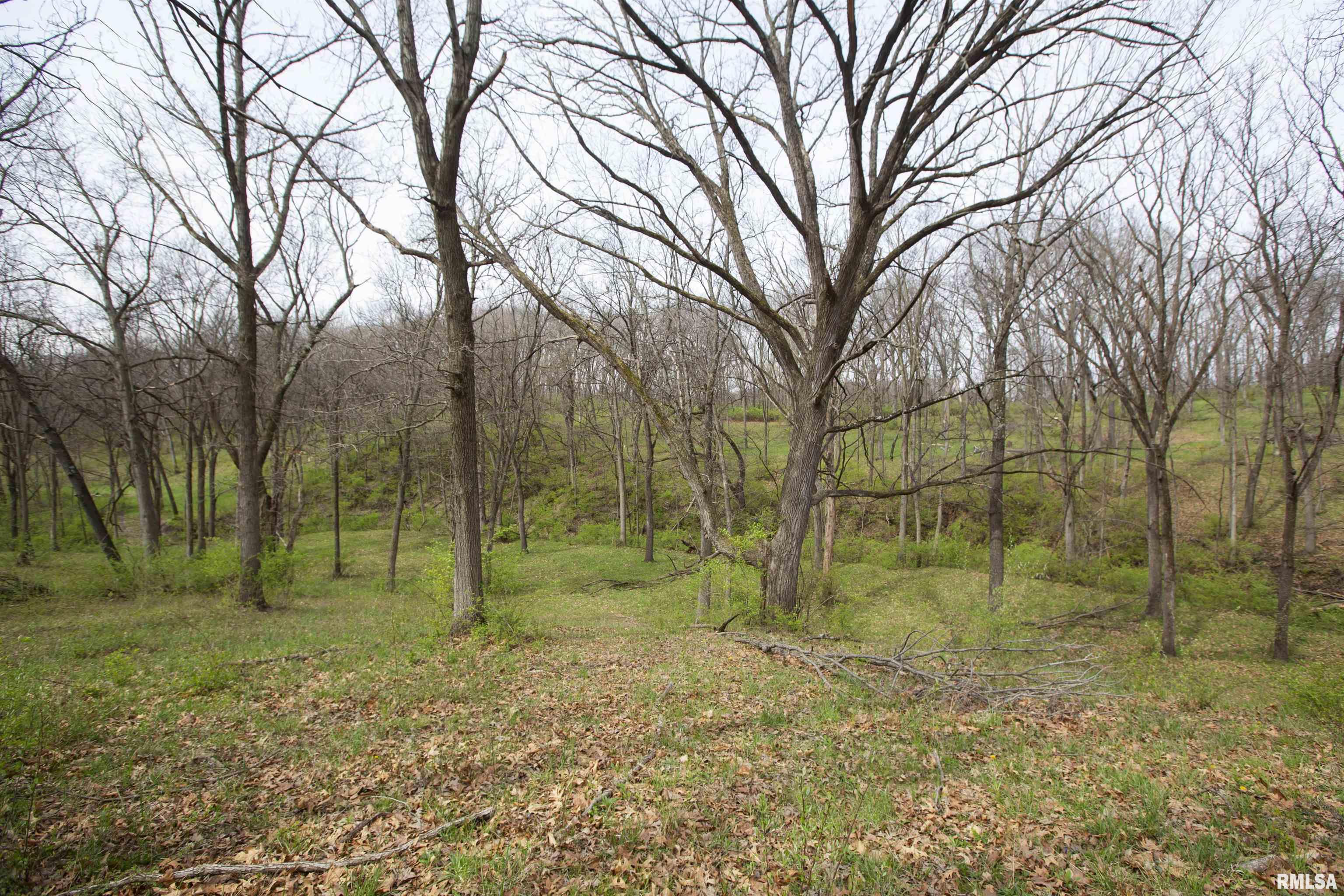 1 North Hardscrabble Road Chillicothe, IL 61523 - Photo 24 of 28