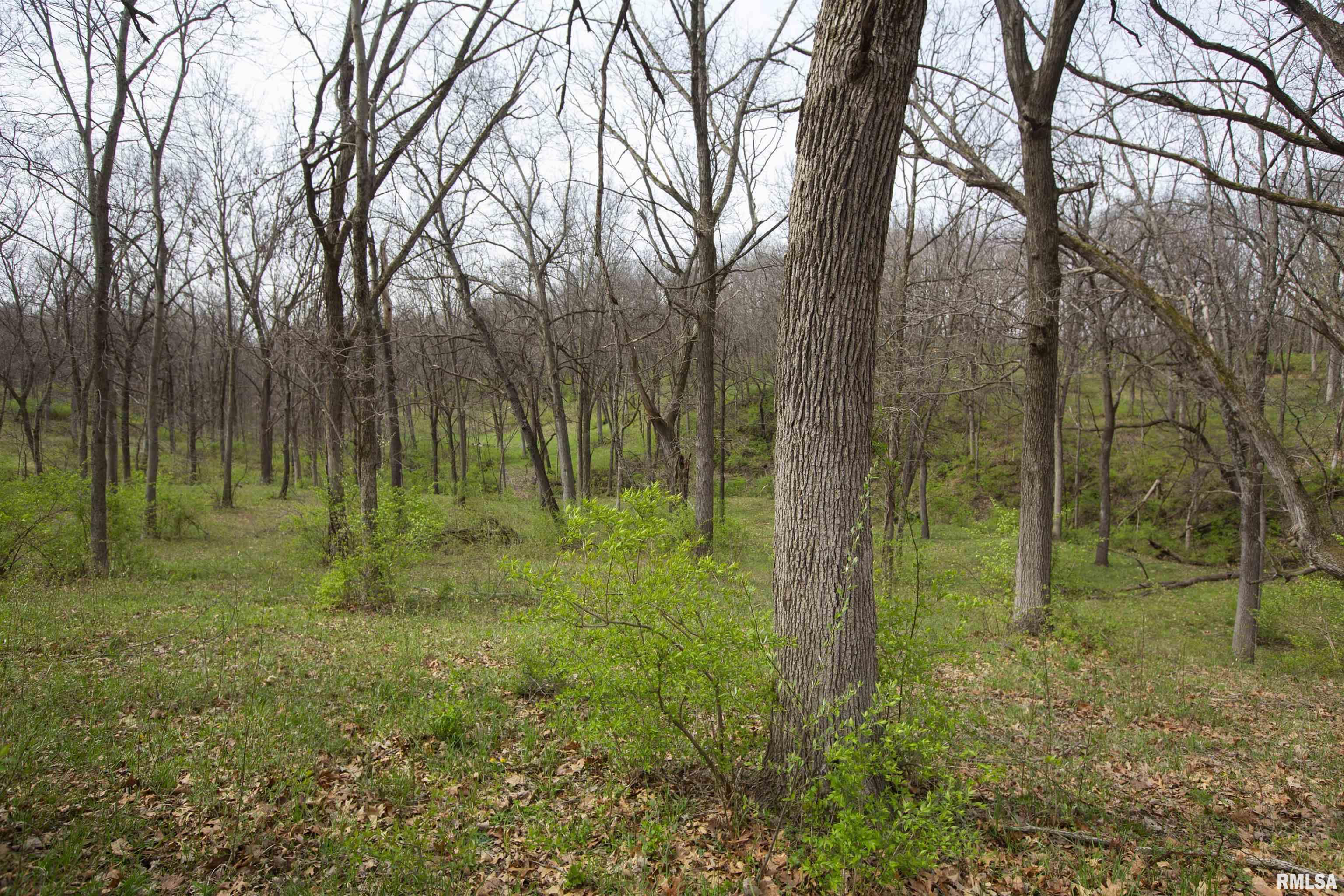 1 North Hardscrabble Road Chillicothe, IL 61523 - Photo 25 of 28