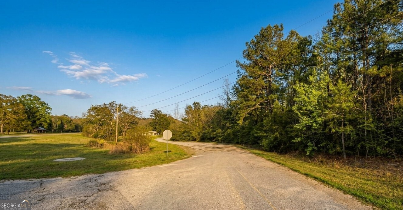 0 Old Franklin Road Tuskegee, AL 36083 - Photo 3 of 8