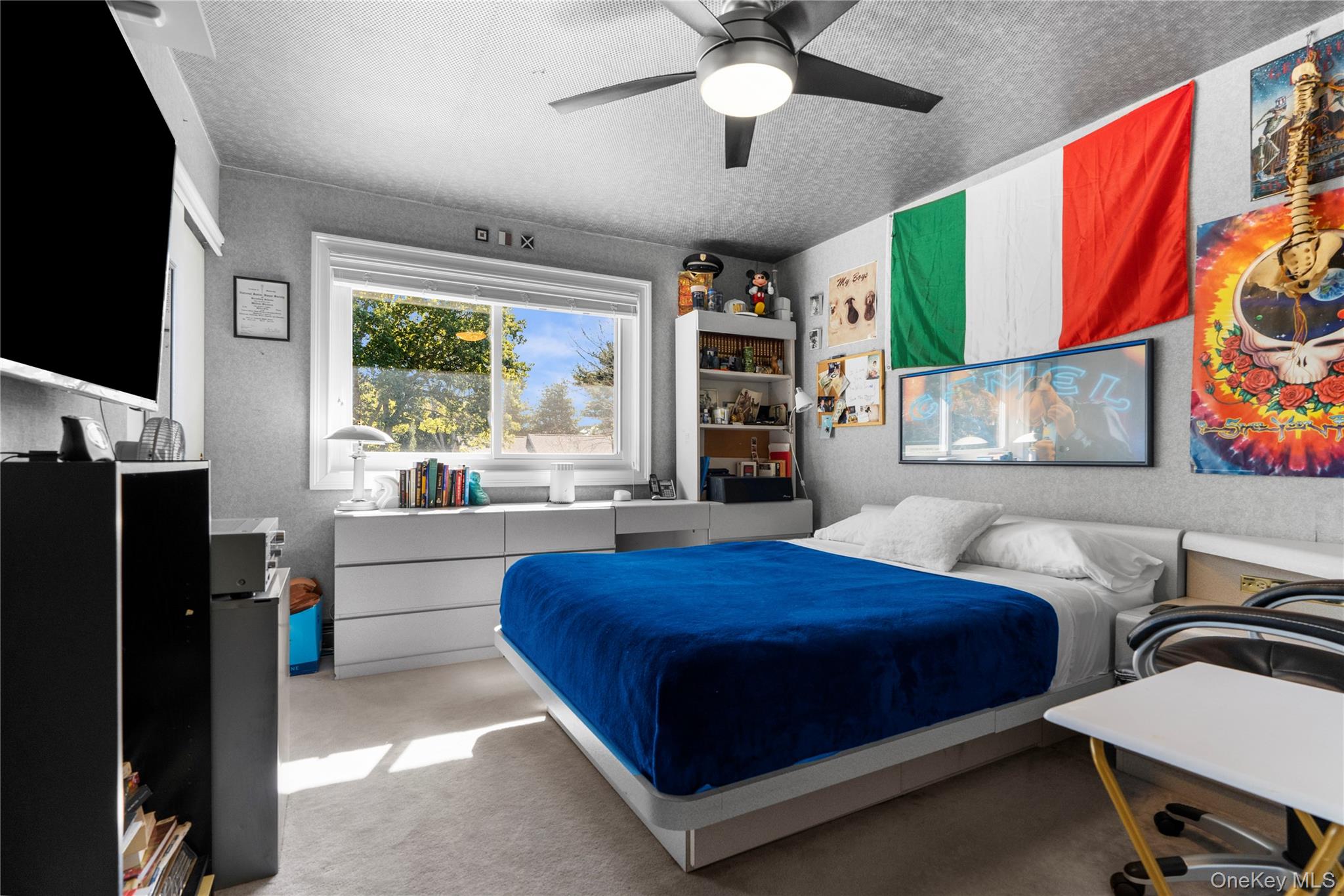 28 Annandale Road Commack, NY 11725 - Photo 19 of 29 a bedroom with a bed window and a flat screen tv