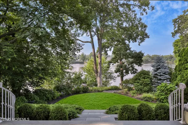 a view of a yard with plants and trees