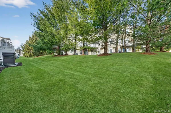 a view of a big yard with a large trees