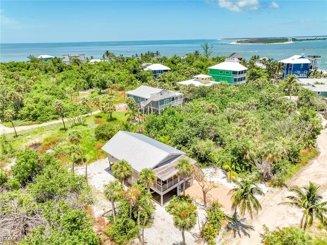 a view of a garden with plants