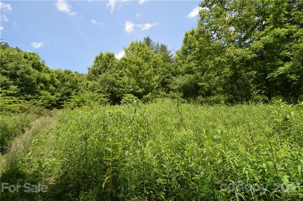 1094 Slagle Road Bakersville, NC 28705 - Photo 11 of 30 Gallery Image 11