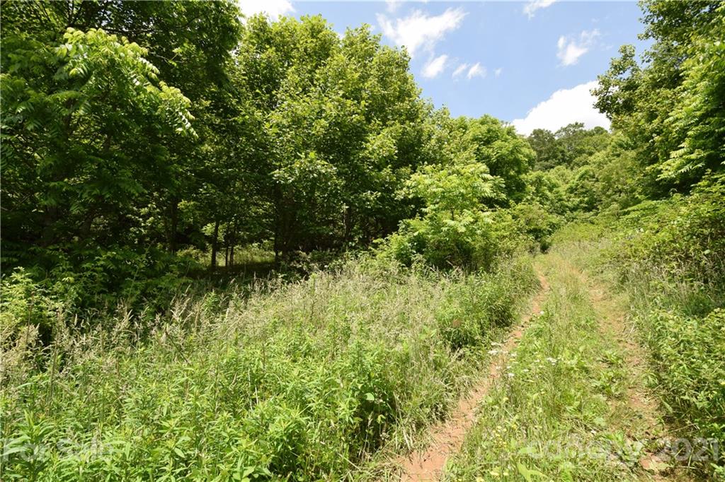 1094 Slagle Road Bakersville, NC 28705 - Photo 12 of 30 Gallery Image 12