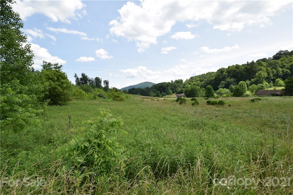 1094 Slagle Road Bakersville, NC 28705 - Photo 17 of 30 Gallery Image 17