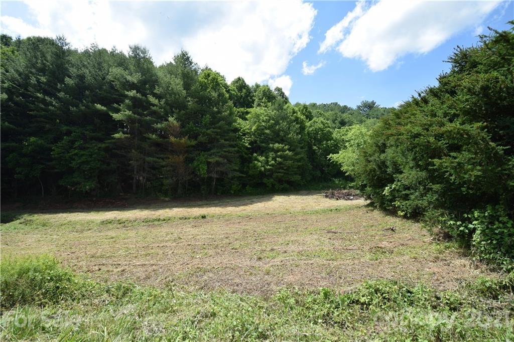 1094 Slagle Road Bakersville, NC 28705 - Photo 3 of 30 Gallery Image 3