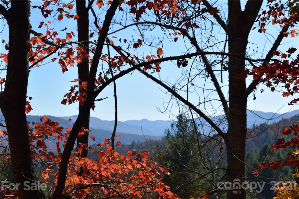 1094 Slagle Road Bakersville, NC 28705 - Photo 23 of 30 Gallery Image 23