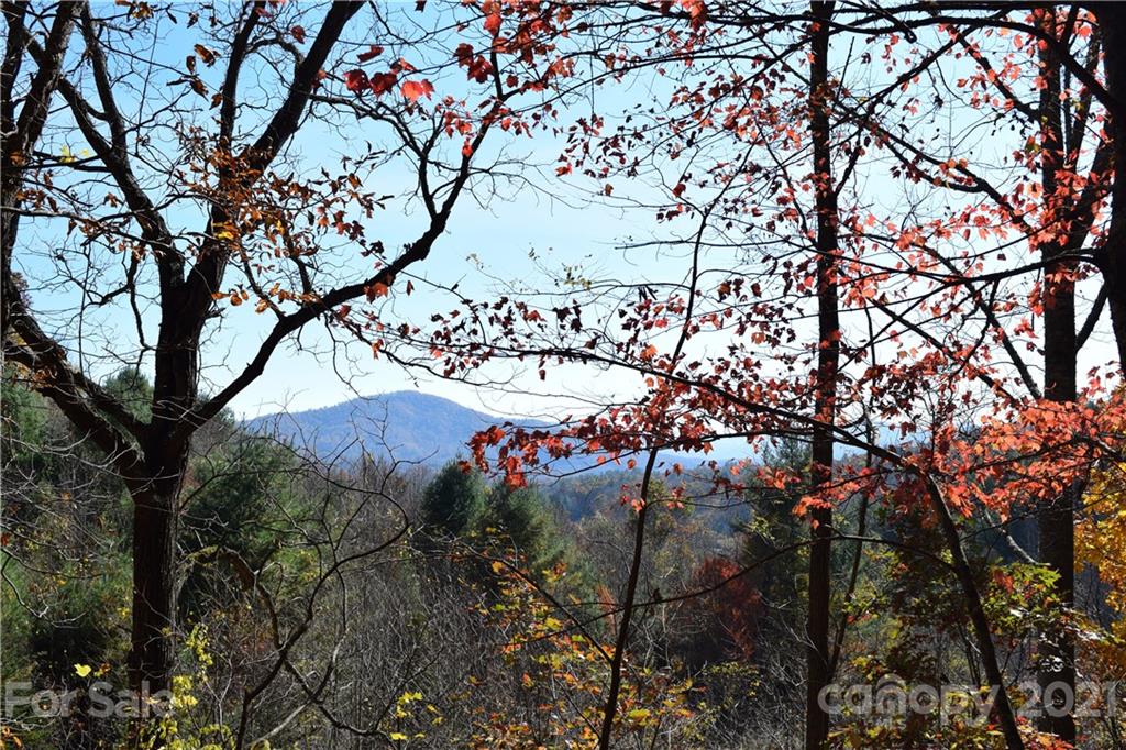 1094 Slagle Road Bakersville, NC 28705 - Photo 24 of 30 Gallery Image 24