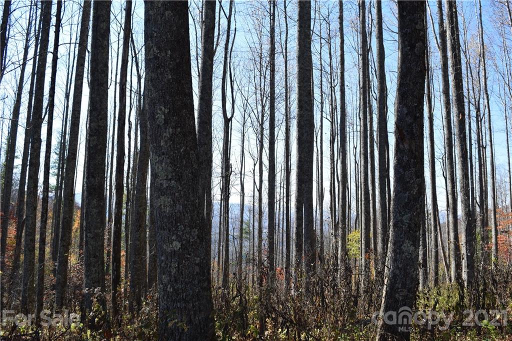 1094 Slagle Road Bakersville, NC 28705 - Photo 25 of 30 Gallery Image 25