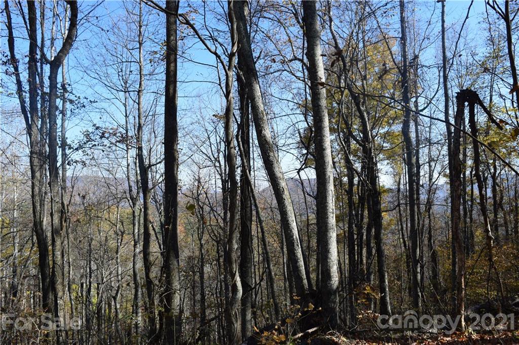 1094 Slagle Road Bakersville, NC 28705 - Photo 26 of 30 Gallery Image 26