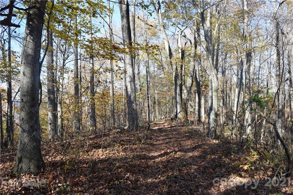 1094 Slagle Road Bakersville, NC 28705 - Photo 27 of 30 Gallery Image 27