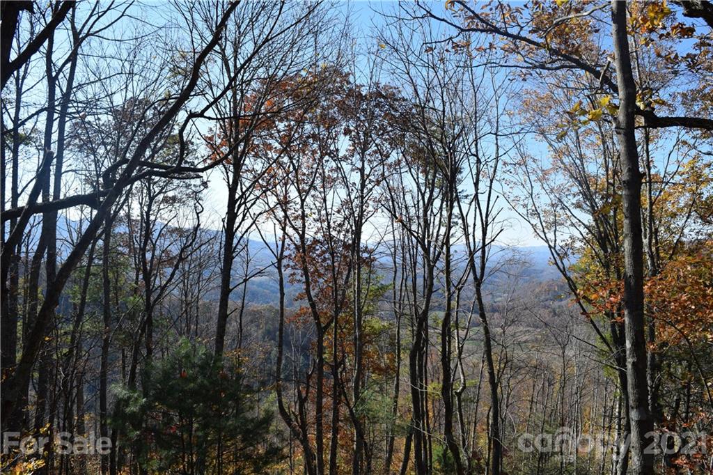 1094 Slagle Road Bakersville, NC 28705 - Photo 28 of 30 Gallery Image 28