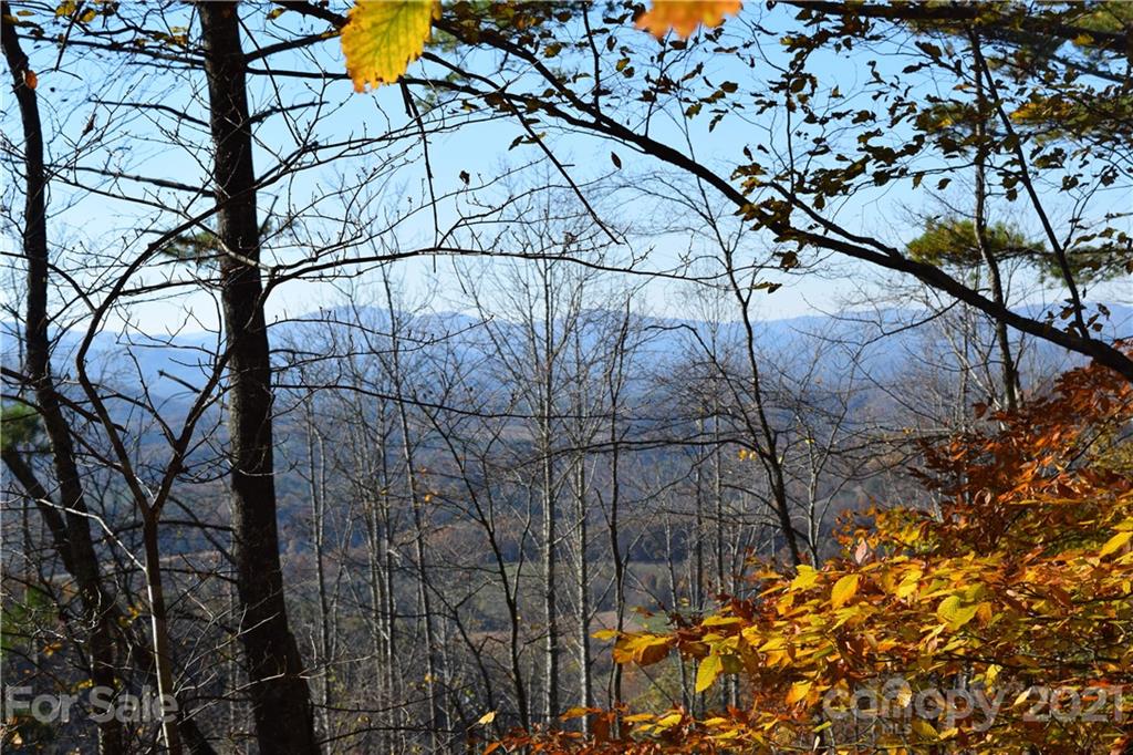 1094 Slagle Road Bakersville, NC 28705 - Photo 29 of 30 Gallery Image 29