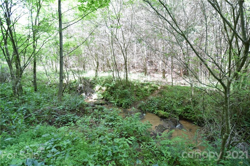 1094 Slagle Road Bakersville, NC 28705 - Photo 9 of 30 Gallery Image 9