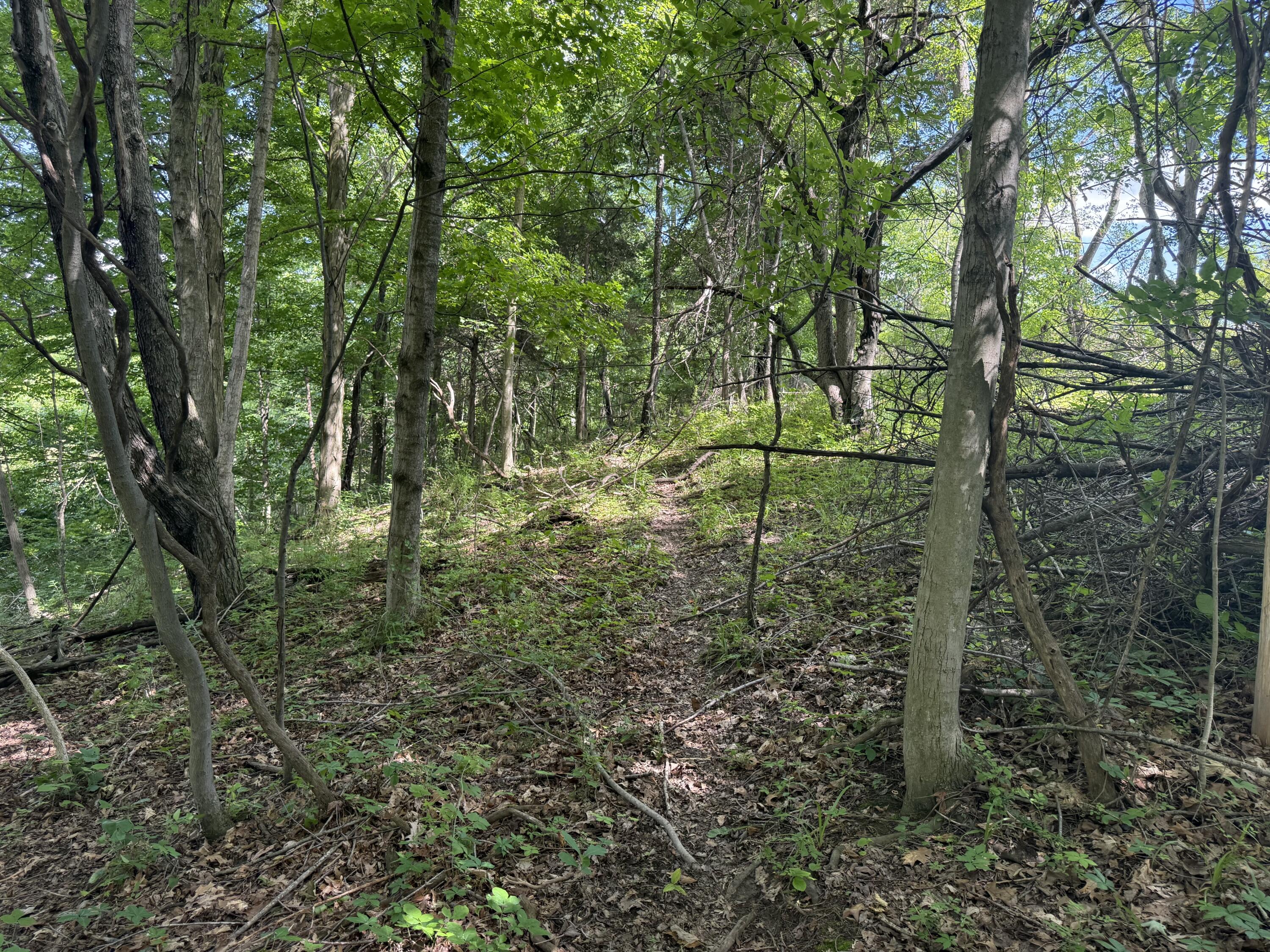 Vl Tamarack Road Pittsford, MI 49271 - Photo 14 of 24 H30