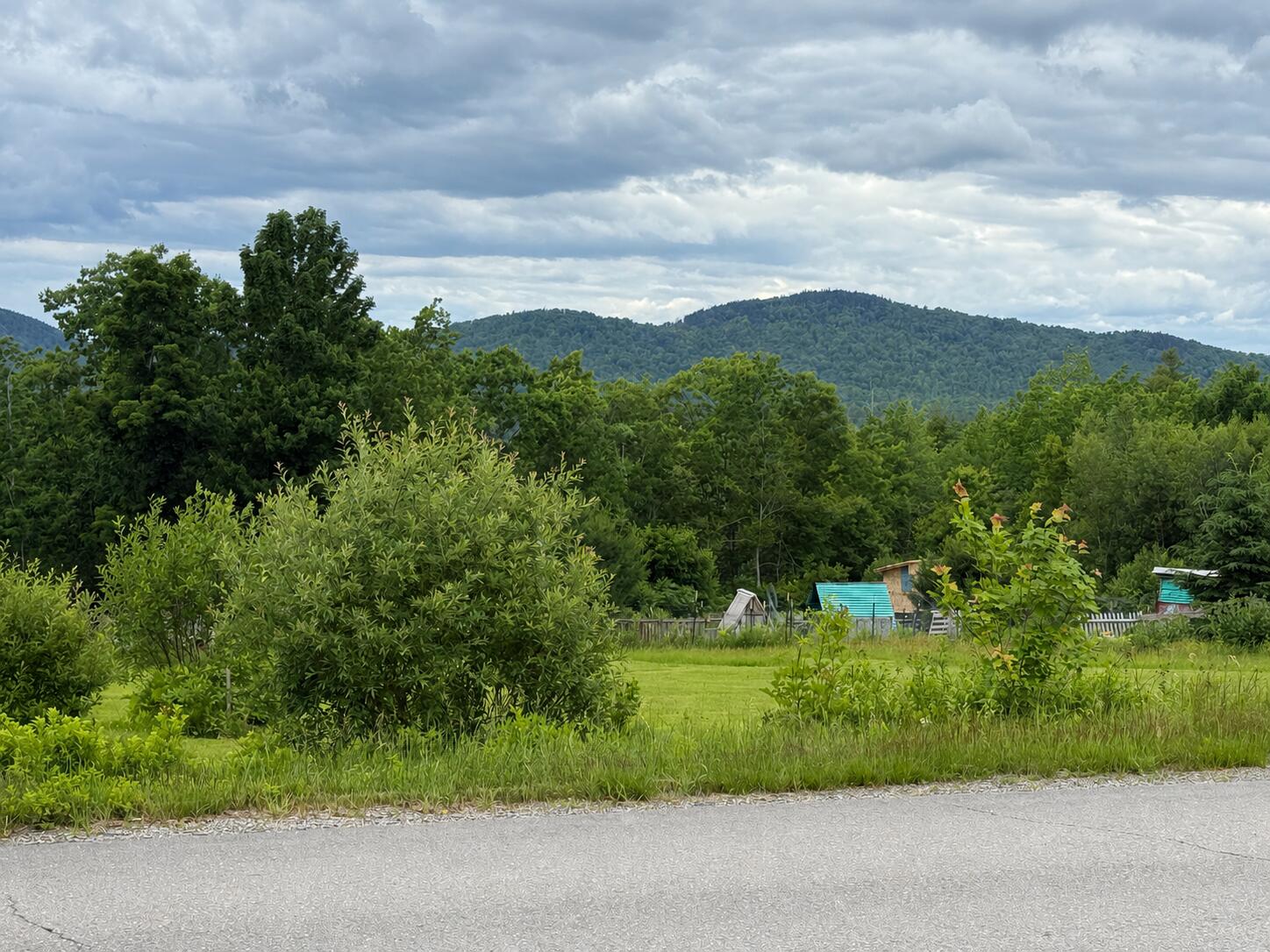 715 Great Pond Road Aurora, ME 04408 - Photo 2 of 24 View from house