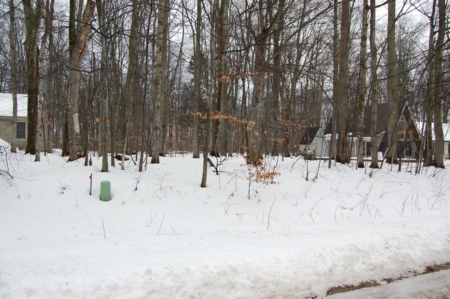 4383 Hemlock Road Cedar, MI 49621 - Photo 22 of 24 1827250-21.JPG