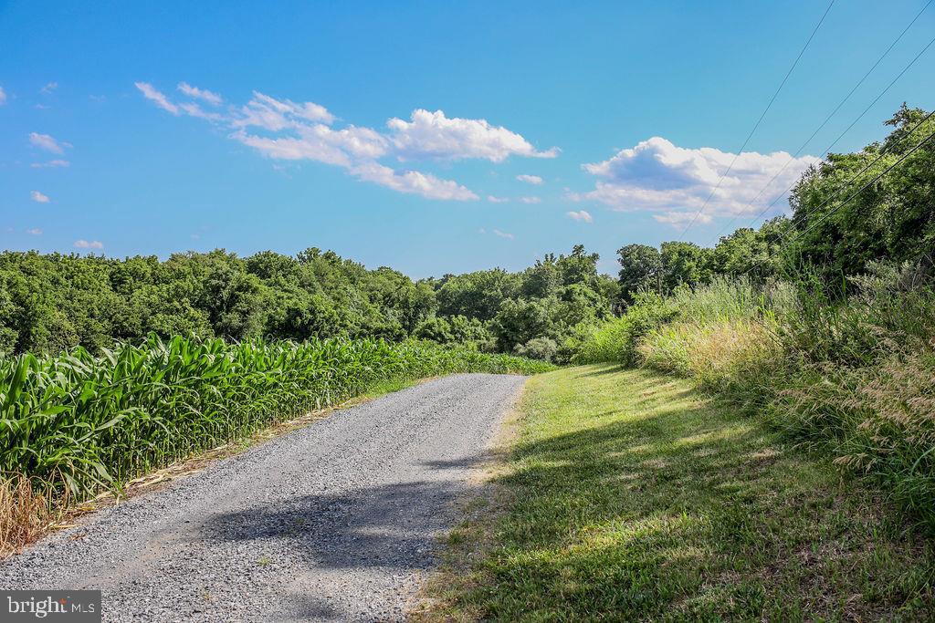 1901 Trough Road Shepherdstown, WV 25443 - Photo 24 of 40