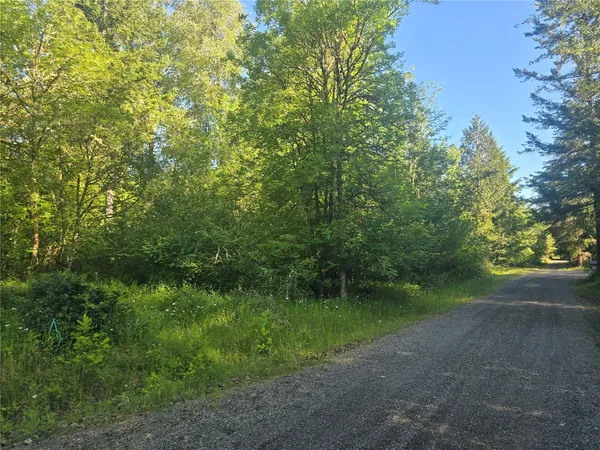 $160,000 | 13701 Starflower Lane Southeast, Yelm, WA 98597