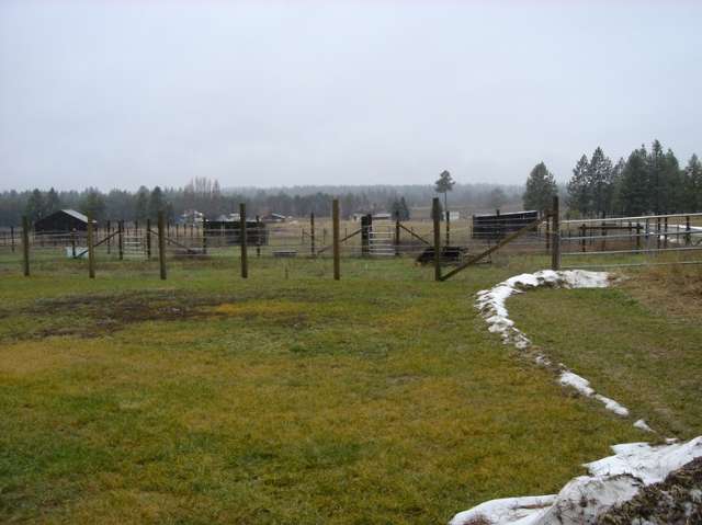 29615 North Cedar Road Deer Park, WA 99006 - Photo 6 of 6 Gallery Image 6