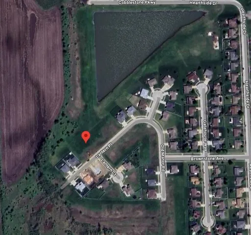 a picture of flowers and fruits