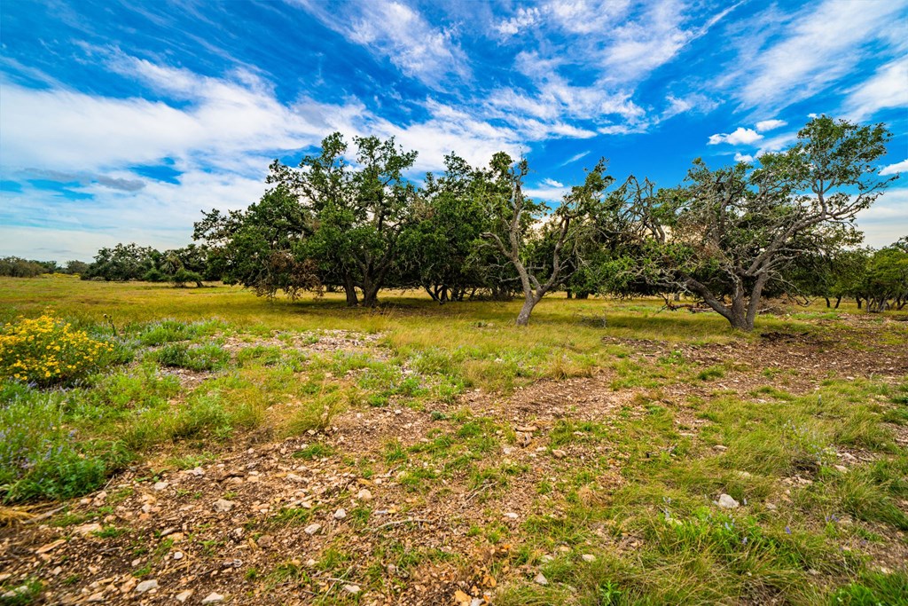 Lot 18 Reservation Road, Unit 18 Harper, TX 78631 - Photo 5 of 5 Gallery Image 5