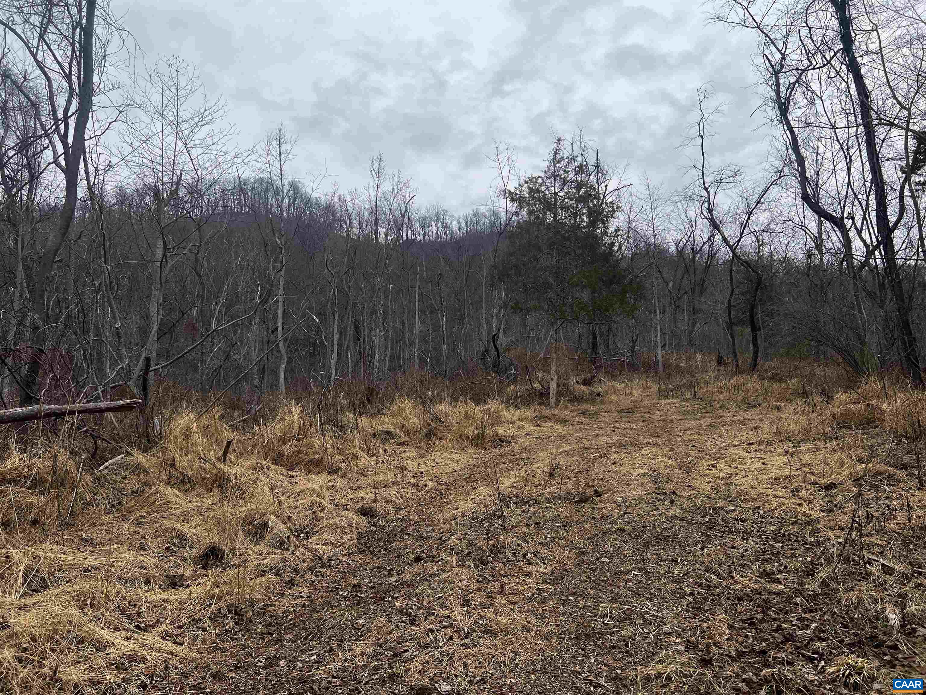 31 Orchard Road Lovingston, VA 22949 - Photo 8 of 17 a view of backyard with green space