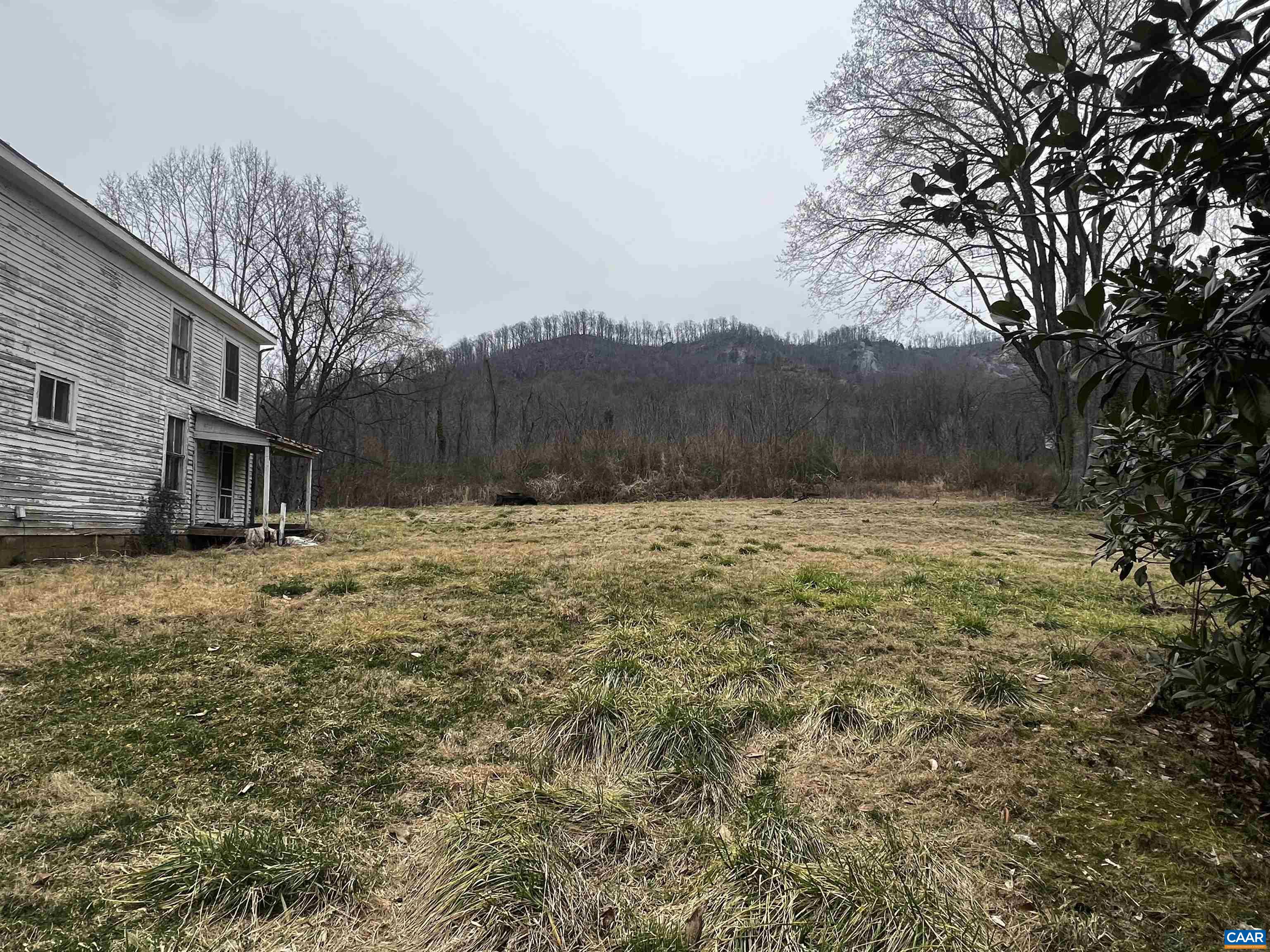 31 Orchard Road Lovingston, VA 22949 - Photo 10 of 17 a view of backyard with large trees