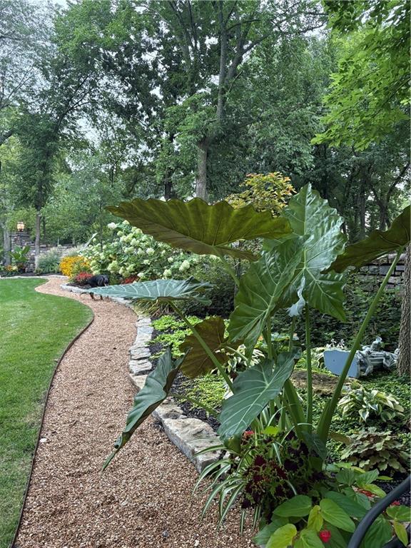 16900 South Highland Ridge Drive Loch Lloyd, MO 64012 - Photo 71 of 96