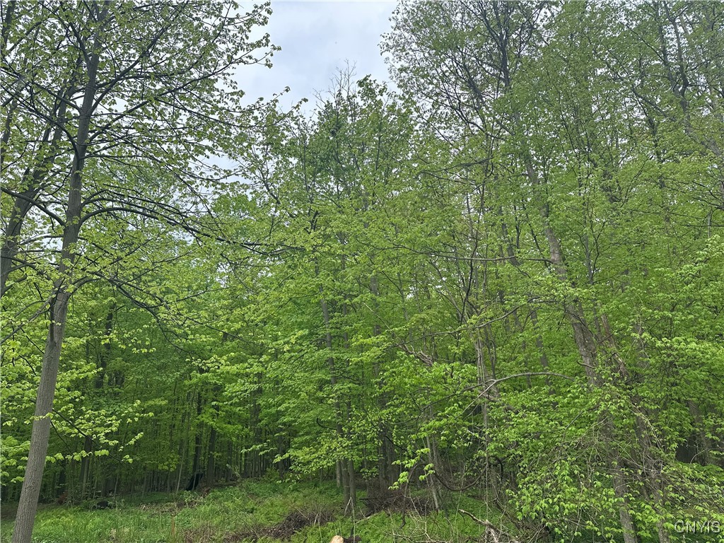 2460 Hitchings Road Otisco, NY 13084 - Photo 1 of 1 Gallery Image 1
