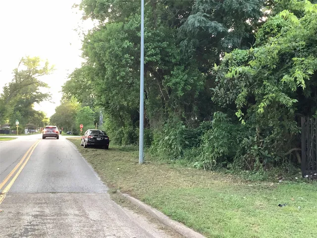 a backyard of a house with trees