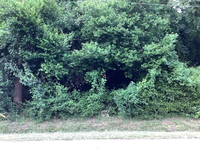 a front view of a house and a yard