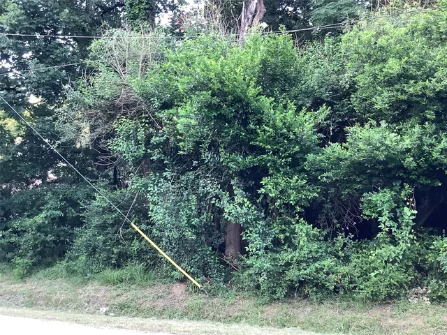 a green field with lots of trees