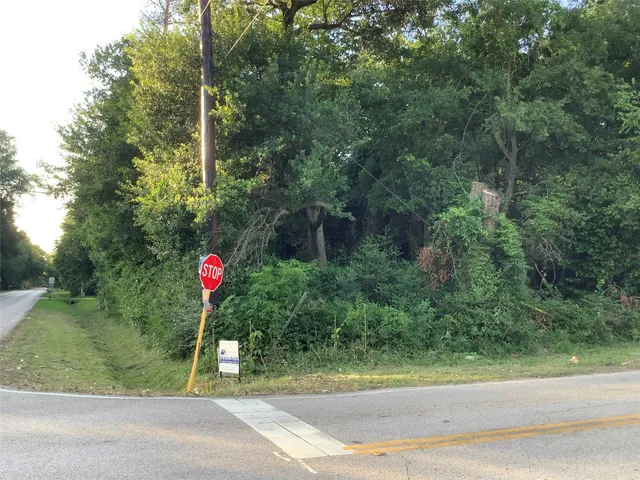 a view of a yard with a tree