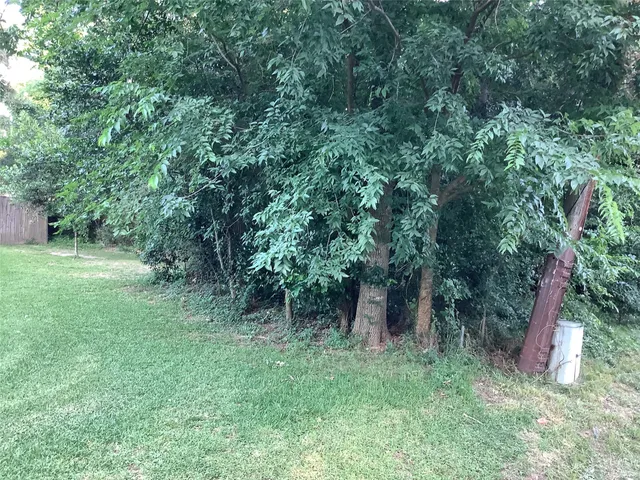 a view of a yard with a street