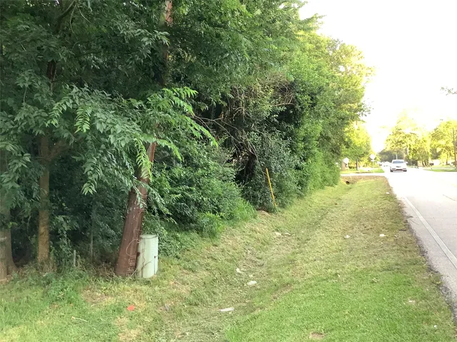 a view of a park with large trees