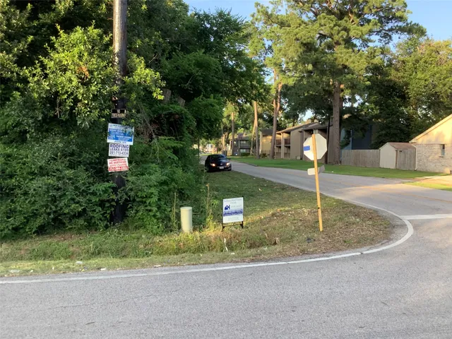 a view of street with tall trees