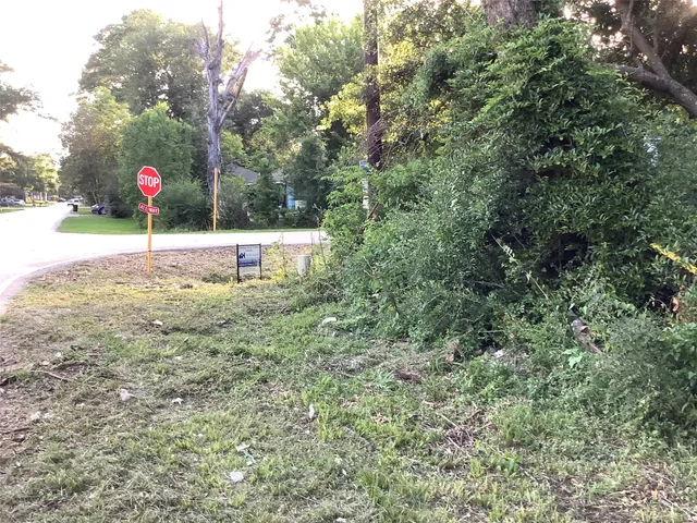 a view of a forest with trees in the background