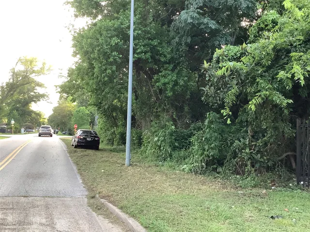 a view of a yard and tree s