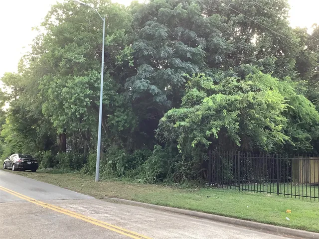 a backyard of a house with lots of green space and trees