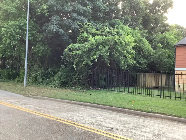 a view of backyard with parked car