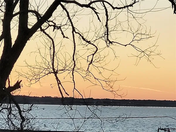 a view of tree in front of a house