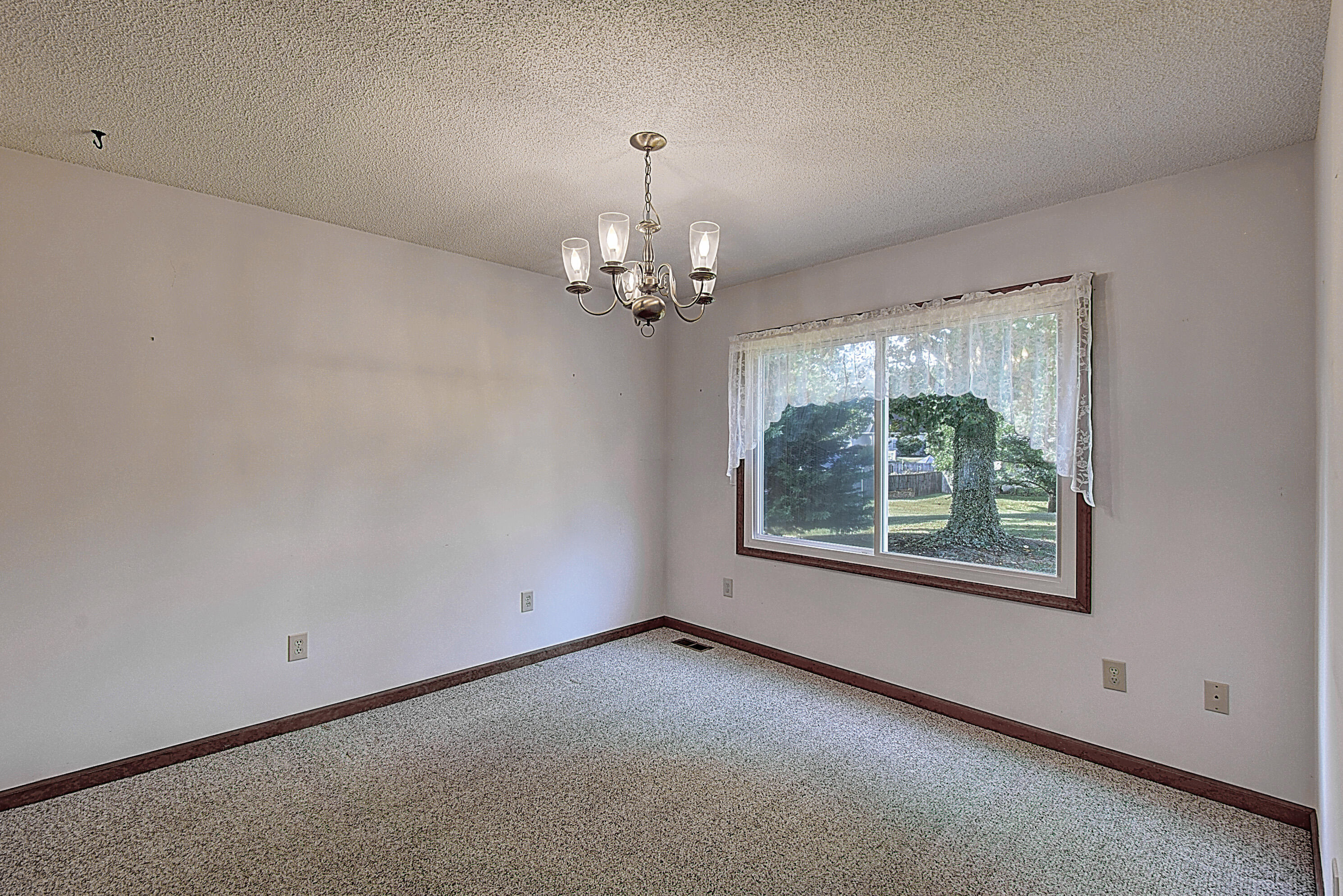 105 Poplar Grove Road Johnson City, TN 37601 - Photo 19 of 45 DSC_0091And8more_1